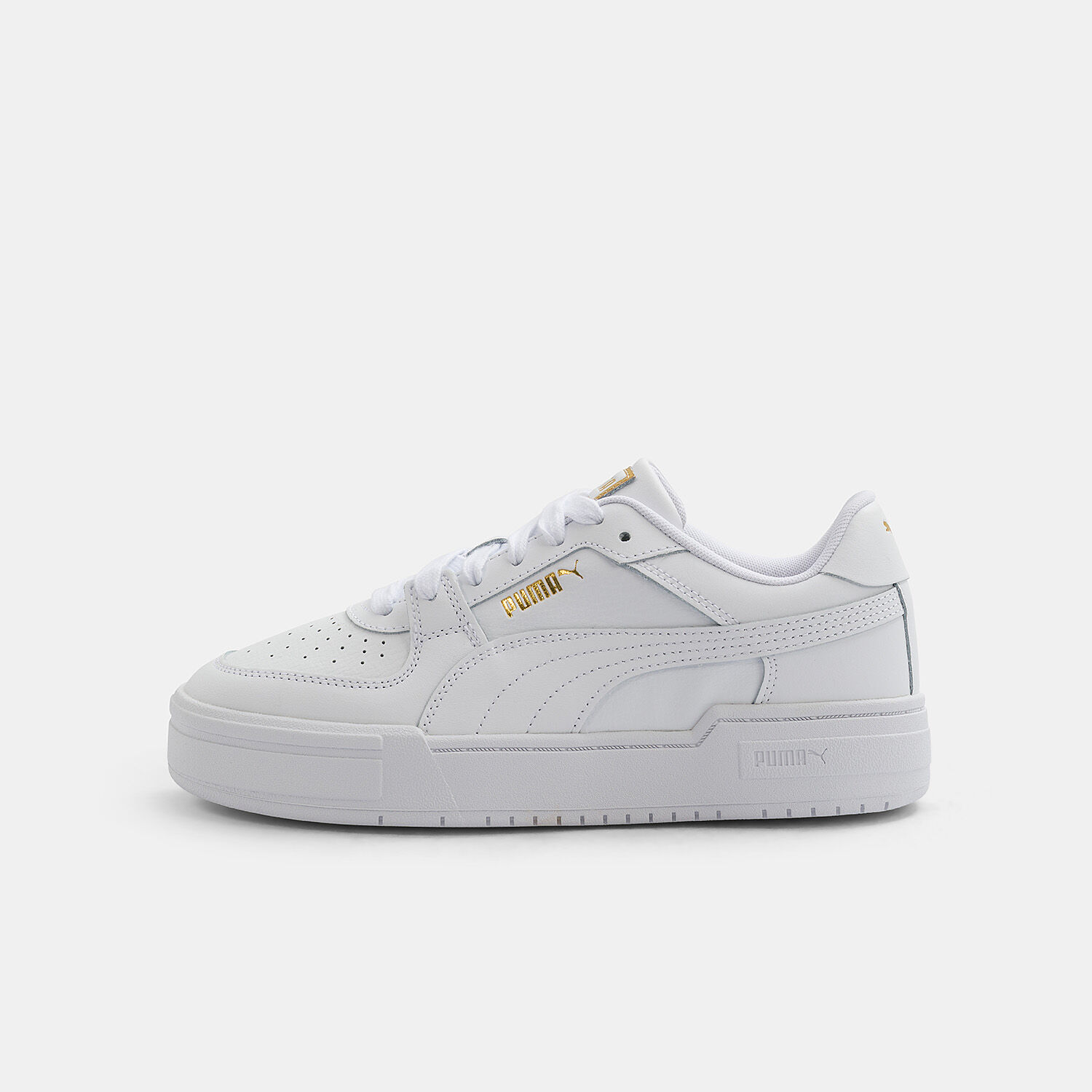Puma dorate cheap