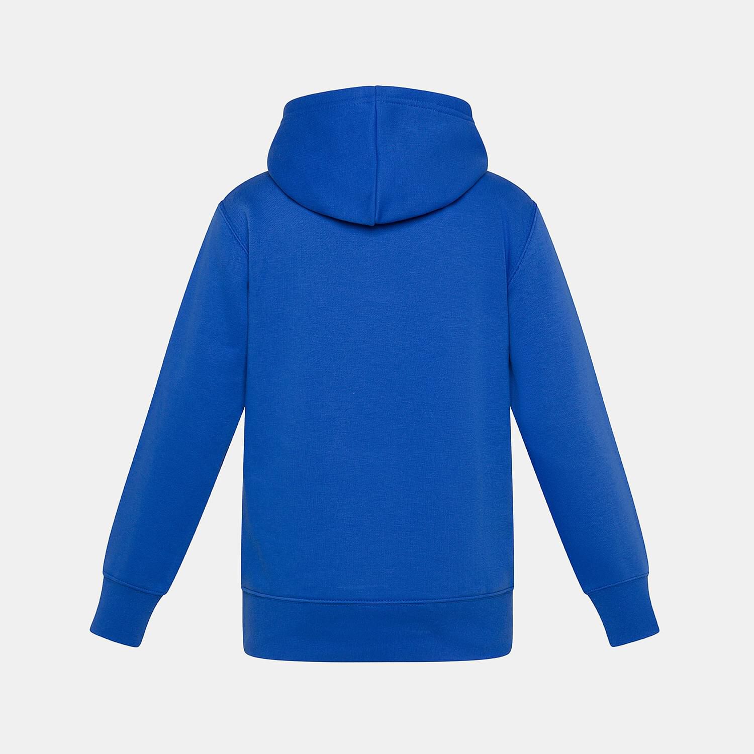 Felpa jordan blu clearance