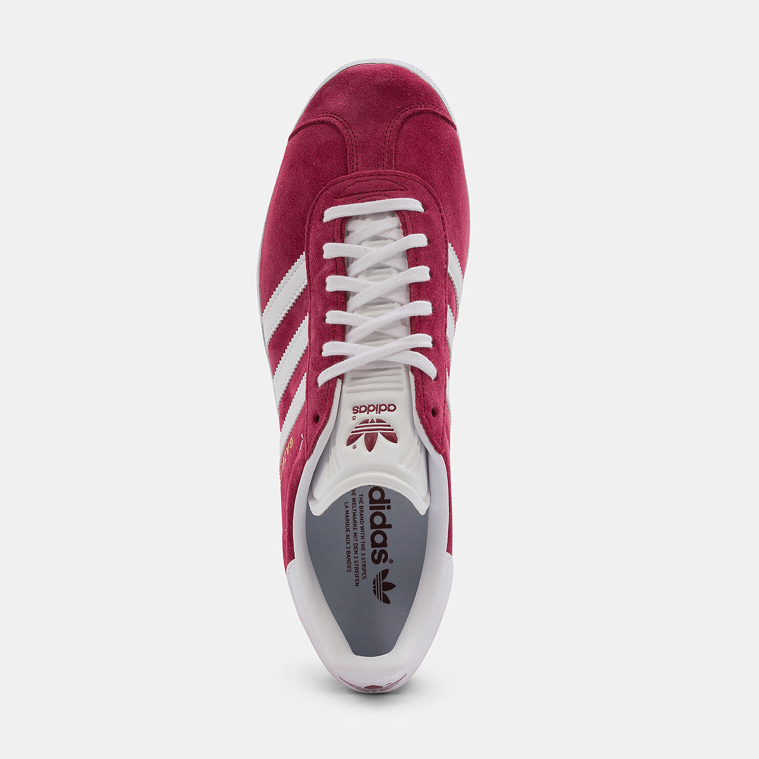 Gazelle rosse online
