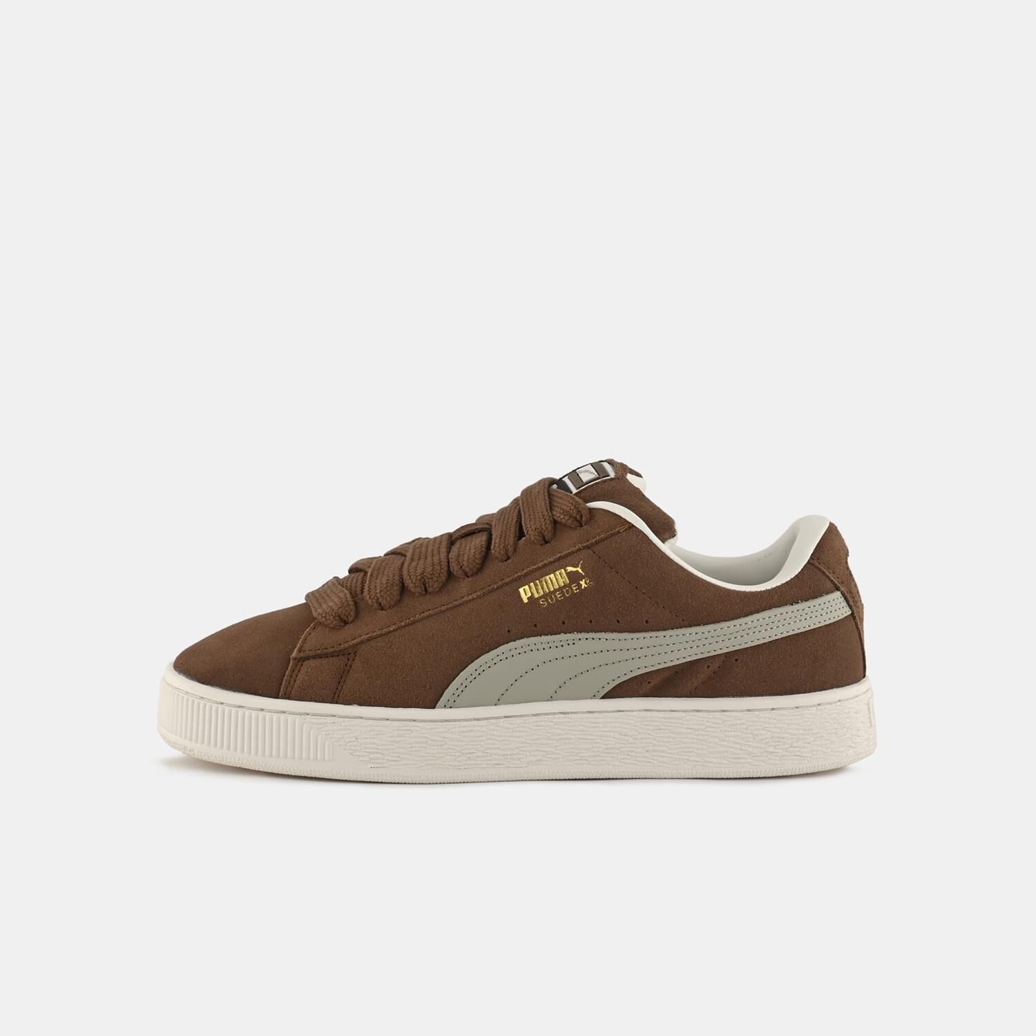 Puma marroni store